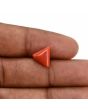 Red Coral (Moonga) Carat 3.19 