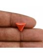 Red Coral (Moonga) Carat 3.19 
