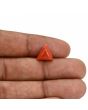 Red Coral (Moonga) Carat 3.3 