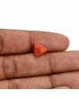 Red Coral (Moonga) Carat 3.3 