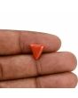 Red Coral (Moonga) Carat 3.3 