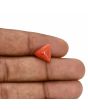 Red Coral (Moonga) Carat 4.08 
