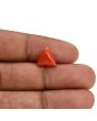 Red Coral (Moonga) Carat 3.22 