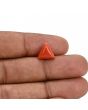 Red Coral (Moonga) Carat 3.12 