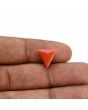 Red Coral (Moonga) Carat 3.42 