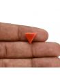 Red Coral (Moonga) Carat 2.98 