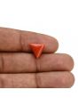 Red Coral (Moonga) Carat 3.39 