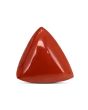 Red Coral (Moonga) Carat 3.71 