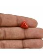 Red Coral (Moonga) Carat 3.71 