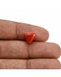 Red Coral (Moonga) Carat 3.71 