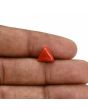 Red Coral (Moonga) Carat 2.71 