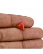 Red Coral (Moonga) Carat 2.71 