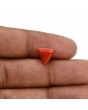 Red Coral (Moonga) Carat 2.71 
