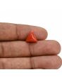 Red Coral (Moonga) Carat 3.3 