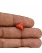 Red Coral (Moonga) Carat 3.3 