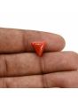 Red Coral (Moonga) Carat 3.3 