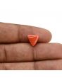 Red Coral (Moonga) Carat 3.21 