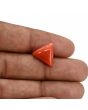 Red Coral (Moonga) Carat 7.15 