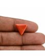 Red Coral (Moonga) Carat 7.15 