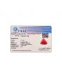 Red Coral (Moonga) Carat 7.15 