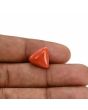 Red Coral (Moonga) Carat 8.95