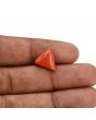 Red Coral (Moonga) Carat 5.41 
