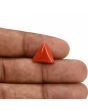 Red Coral (Moonga) Carat 5.94 