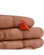 Red Coral (Moonga) Carat 5.92 