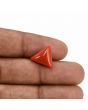 Red Coral (Moonga) Carat 5.92 