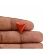 Red Coral (Moonga) Carat 5.92 