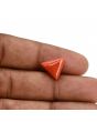 Red Coral (Moonga) Carat 5.5 