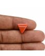 Red Coral (Moonga) Carat 5.5 