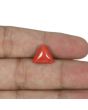Red Coral (Moonga) - 5.71 Carat 