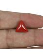 Red Coral (Moonga) - 5.88 Carat 