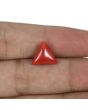 Red Coral (Moonga) - 5.64 Carat 