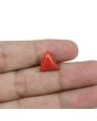 Red Coral (Moonga) - 5.77 Carat 