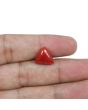 Red Coral (Moonga) - 5.86 Carat 