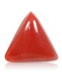 Red Coral (Moonga) - 5.62 Carat 