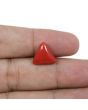 Red Coral (Moonga) - 5.62 Carat 