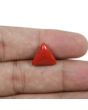 Red Coral (Moonga) - 5.62 Carat 