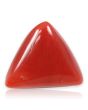 Red Coral (Moonga) - 7.63 Carat 