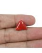 Red Coral (Moonga) - 7.63 Carat 