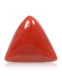 Red Coral (Moonga) - 5.93 Carat 