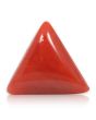 Red Coral (Moonga) - 5.9 Carat 