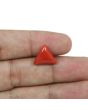 Red Coral (Moonga) - 5.9 Carat 