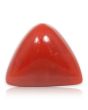 Red Coral (Moonga) - 8.54 Carat 