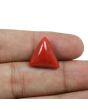 Red Coral (Moonga) - 10.51 Carat 