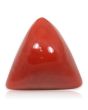 Red Coral (Moonga) - 8.66 Carat 