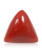 Red Coral (Moonga) - 8.66 Carat 