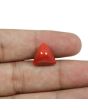 Red Coral (Moonga) - 8.66 Carat 